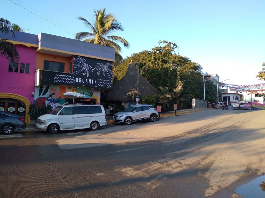 Sayulita Breakfast - Organik